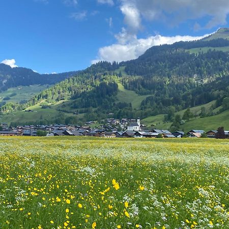Haus Diedams Schoppernau Luaran gambar