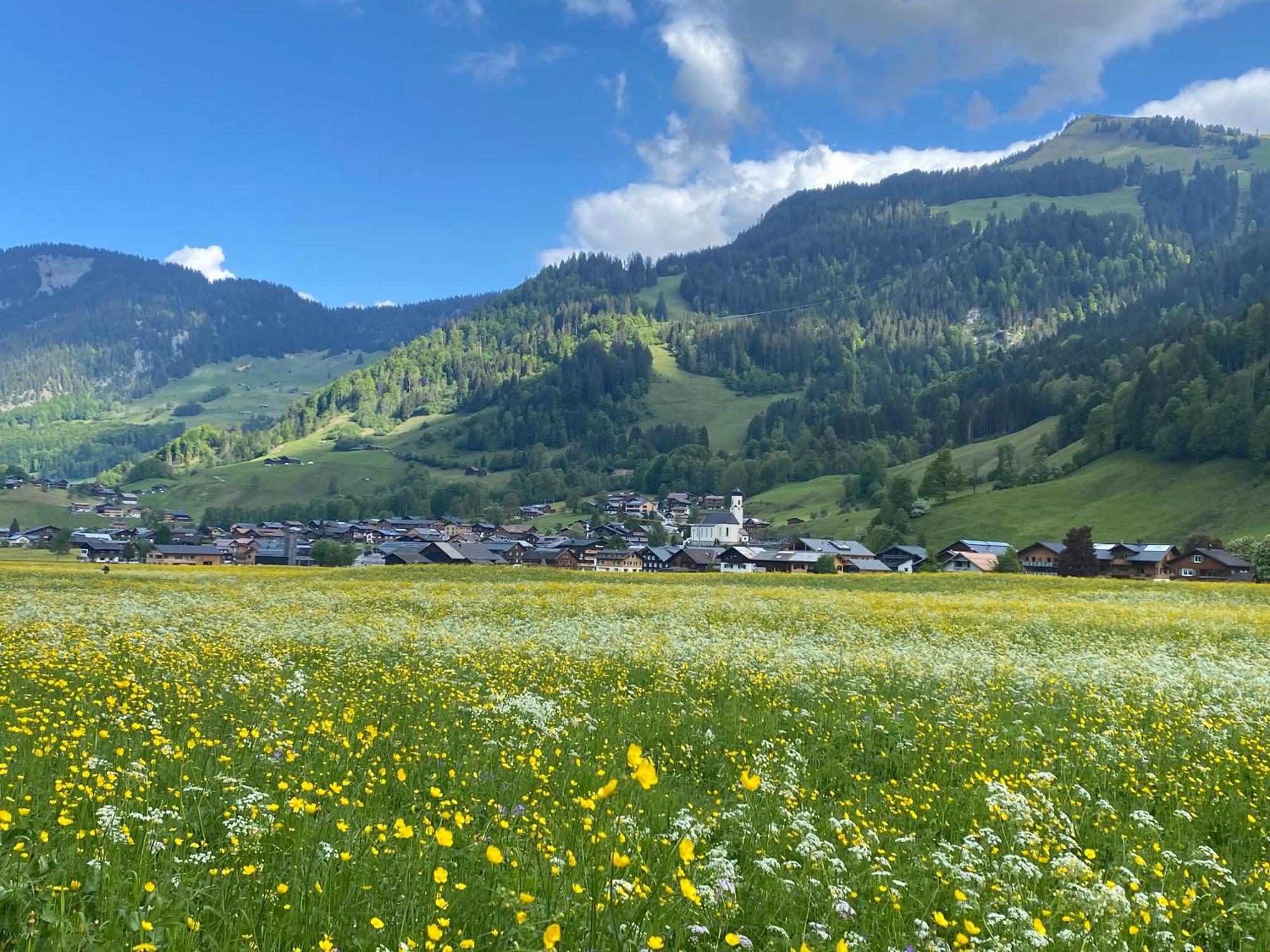 Haus Diedams Schoppernau Luaran gambar
