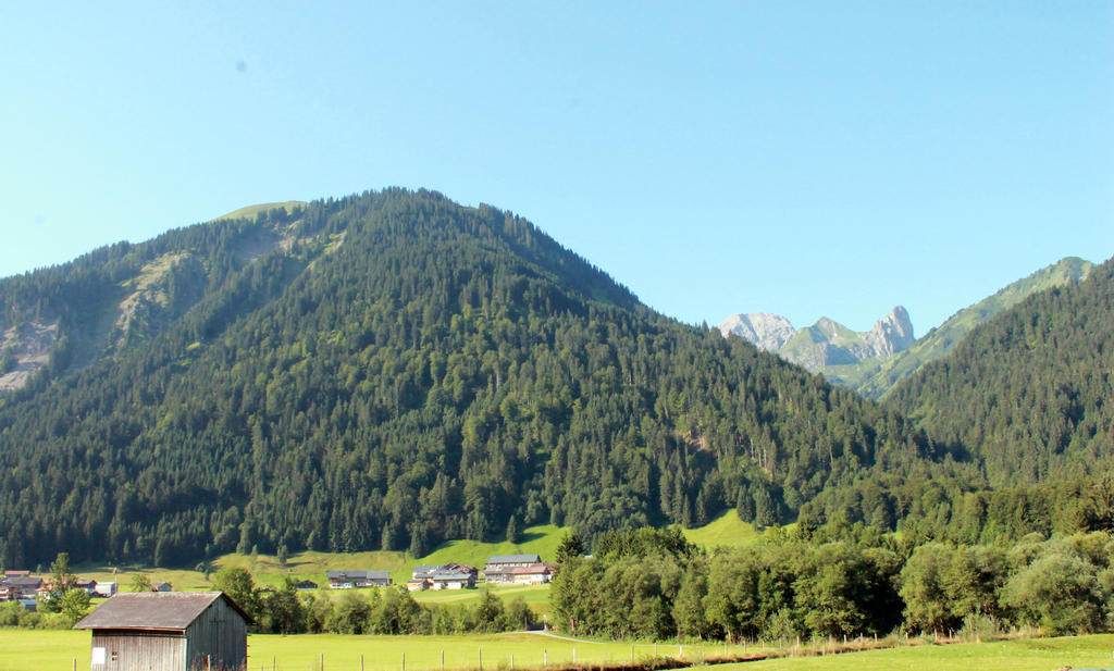 Haus Diedams Schoppernau Luaran gambar