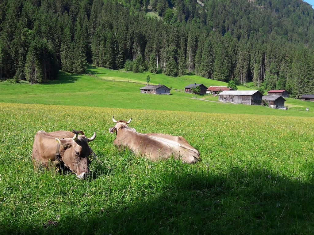 Haus Diedams Schoppernau Luaran gambar